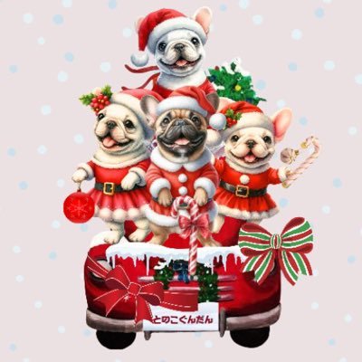 iDCTbs8uKXv5Wsz's profile picture. 大好きなフレブル「とのこ」🎂2018.9.19 🏠2018.11.18 🌈2023.6. 3「との吉」🎂2018.6.22 🏠2023.7.8 「ちょびこ」🎂2023.6.10 🏠2023.8.8 「このと」2023.8.6 🏠2023.10.29 無言フォローお許し下さい🙇‍♀️