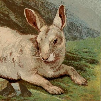 woundwortwrites's profile picture. 🌿 fandom lurker 🌿 grown-ass adult 🌿 she/her 🌿 Severance 🌿 Mouthwashing 🌿toxic ships 🌿 whatever I feel like 🌿