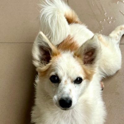 oruesemichael1's profile picture. I’m wishing you 101% of what you are wishing me ❤️🦅