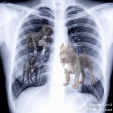 Stack_Capital_'s profile picture. ✌️