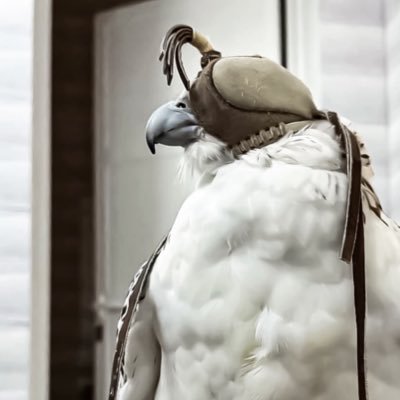 Fr_nj8's profile picture. 