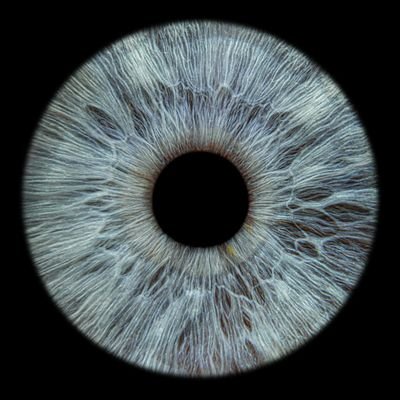 Nkosana_Gora's profile picture. //I write poetry lines for computers to understand. 👨🏽‍💻