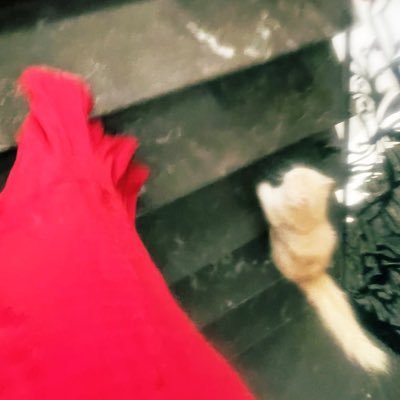 Buymebmw's profile picture. 