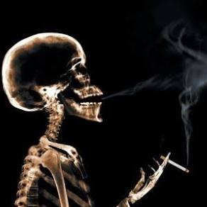 TheDogsInYou's profile picture. 