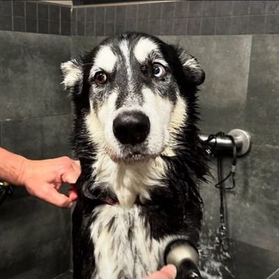 Yassitera_'s profile picture. 📍 UK | 🌍 Connecting Europe & Asia
Crypto • AI-Driven Trading • Portfolio Growth •
Account management • Investments •
Turning small capital into real gains 💰