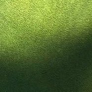 esleyll's profile picture. Read my rentry please • kindly dm if needed