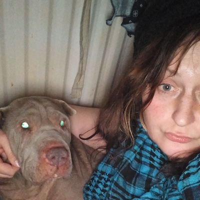 RuthLessTWAM's profile picture. Enjoyer of gyrocoptor blades at fox hunts.
Kind to pigeons.
reluctant heterosexual.
Waiting for a time to tell my best joke