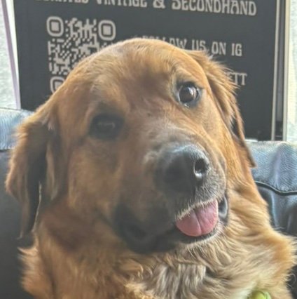 SimonBfooty's profile picture. 