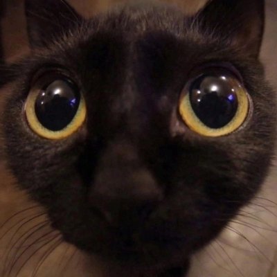 UniversesResort's profile picture. This is a silly little thing for my OCs! Tis an RP account no less, so MDNI thankies!

Account sporadically goes on and off private, as a warning!