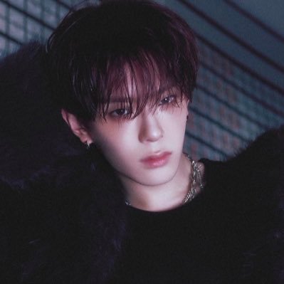 yorkangmin's profile picture. First time seeing such a cute puppy?