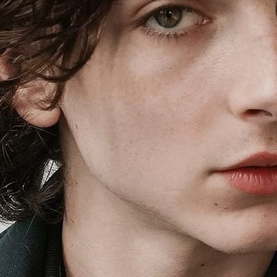 twilightspears's profile picture. non binary registrando surtos aleatorios nessa rede. 

boto um cadeado no nome quando fico block de dm.

ele/ela/elu.