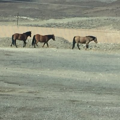 JRiley2021's profile picture. That’s Some BS Right There!