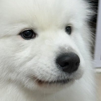 khunairy's profile picture. ᝰ.ᐟ༘ 𝐴𝑇𝐿𝐴𝑆 𓈒𓂂𓏸♡ 𝖩𝗎𝗇𝗂𝗈𝗋 ˚𐙚 𝖳𝗅𝖾_𝗆𝗍𝗆 ❤︎ ིྀ 𝖿𝖺𝗇 𝖺𝖼𝖼𝗈𝗎𝗇𝗍 ·ン