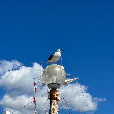 yu9dai's profile picture. 書店→出版社 装丁が好き。