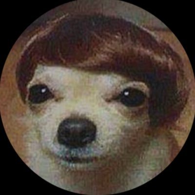 0xH4B1B1's profile picture. I’m just a dog 🐕 ! “Take care brush your hair, forget about it!” $BTC 🔸 - $ASTER 🛸