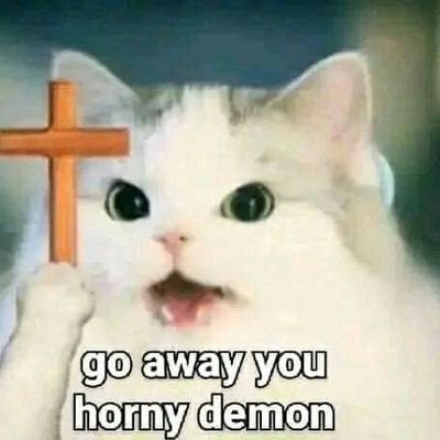 Spencer03650731's profile picture. Nothing in here just my safe space