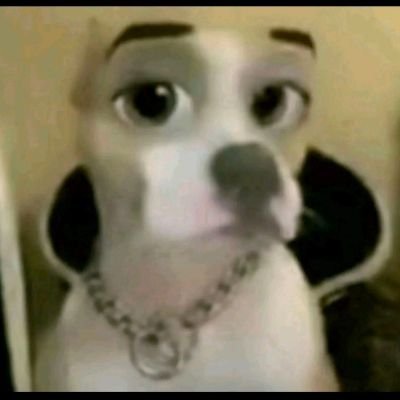 kaduu_lindo's profile picture. @itss_kadu