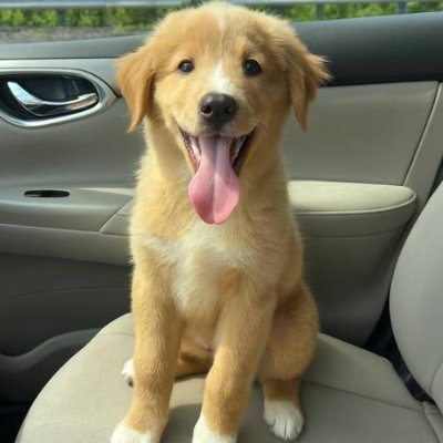 StefJski's profile picture. 