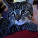 Ellen Goldman - @EGold41 - Twitter