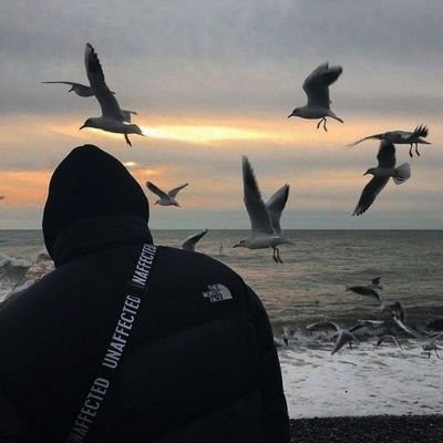 EnesGani0's profile picture. Nadir taşlar gibi parlar 🥷