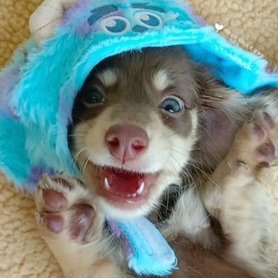 MTarr18029's profile picture. 