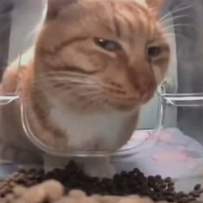 harsh_khuha's profile picture. browser security research, all views are personal,