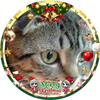 privatemoon's profile picture. かつてルーンミッドガッツに住んでいた。お仕事はIT系。リプライ/フォローは返したり返さなかったり気まぐれです。惑わされるな。