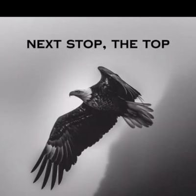 vsureshhr's profile picture. Short | Long| Term Investor
https://t.co/n8iPQBwOkl