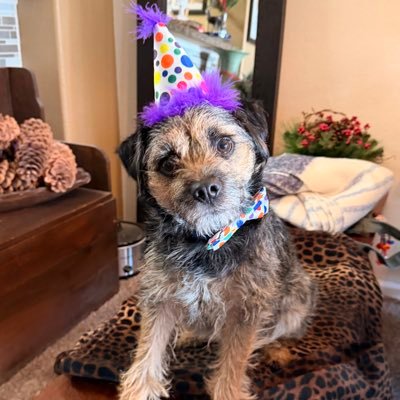 krhardgrave's profile picture. 