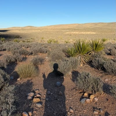 K1rkusmaximus's profile picture. Probably building something…