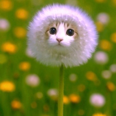 mew1c1de's profile picture. 