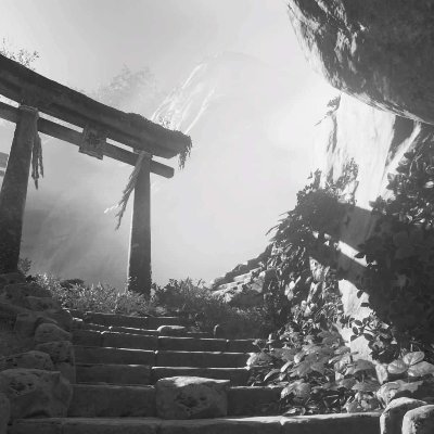 silvinomiguel92's profile picture. 