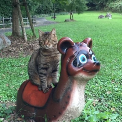 kenshisAWS's profile picture. 非IT人材です。何気なく応募した社内公募のAWS reInvent 2025大当たり🎯？し、ラスベガスに行くことになりました。 とにかく非ITでもAWS reInventが楽しめる事を伝えたいです。