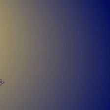 _nandu699's profile picture. 