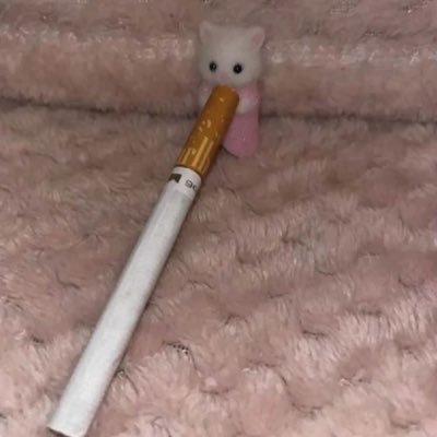 laurishungry's profile picture. ifb edtwt :-)