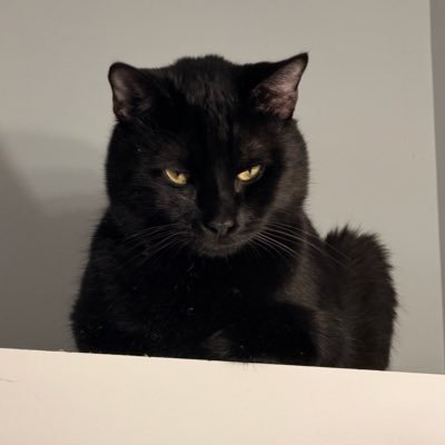 OhItsAustinB's profile picture. 