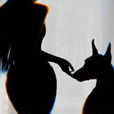 hotdogemo's profile picture. 看我不爽的话可以看着我爽