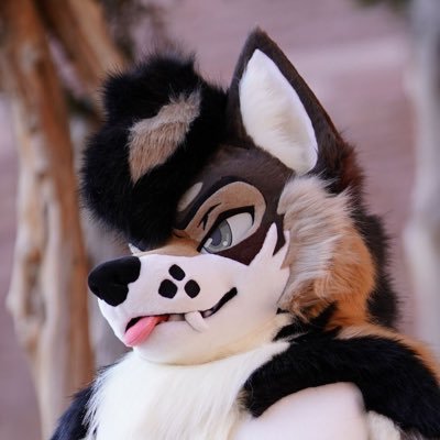 Sven_rir's profile picture. Active participant in Colorado's wolf reintroduction program | 🏔️🏜️ |🧵: @kigurumikagetsu