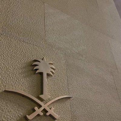 _Alotaibi111's profile picture. Graduate of Marketing-#Taif_University | and currently a university student majoring in #MIS