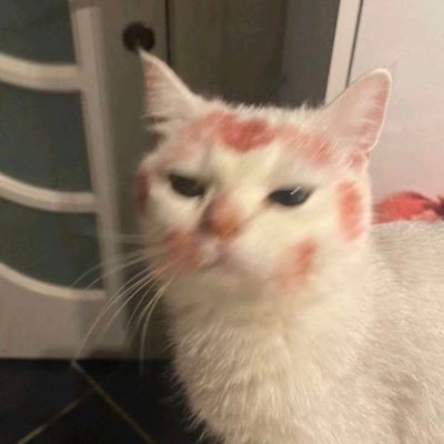 qquiatt's profile picture. 26