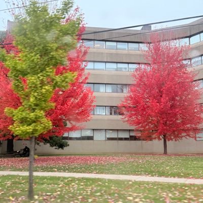 mounikka10's profile picture. 