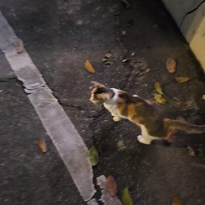 q3715316019958's profile picture. 30代｜F｜独り身お酒飲みです〜🍺