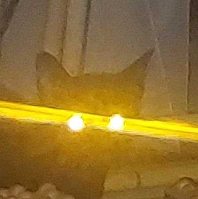 rinrinzawa's profile picture. 🪬|💙Joe locke 🌸สยรเท่านั้น♡sonyuke