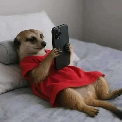 PresinoMedia1's profile picture. 