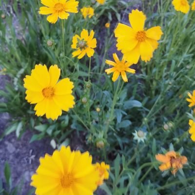 cghhgar2t's profile picture. 