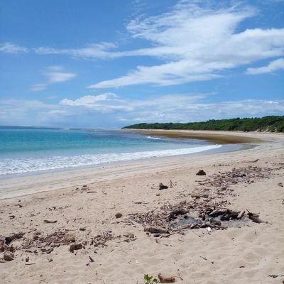 LTuragadua72511's profile picture. 