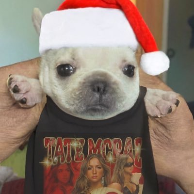 coxinhacroc's profile picture. girl whatever