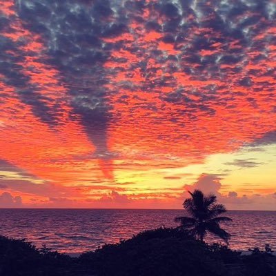 _Melanie_Trump's profile picture. I love music, family, food, coffee & dogs! Country music lover 🎶 🏝🌊🌦