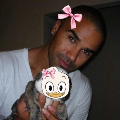 lilahhive's profile picture. 18 | inconsistently posting the things you want, consistently annoying