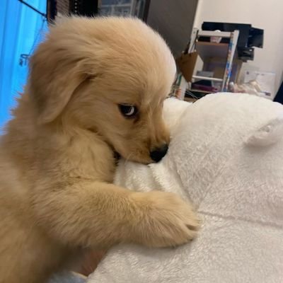 thelastsikbbang's profile picture. 정말마지막계정이다